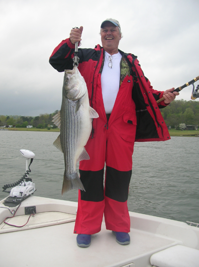 Stripe Fishing Headquarters Striper Fishing On Smith Lake Alabama