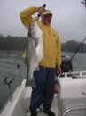 Client with Big Striper