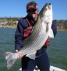 Client with Big Striper