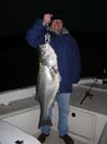 Big Striper