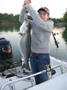 Client with Big Striper