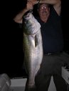 Client with Big Striper